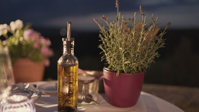 Aceites Maeva, uno de los 10 mejores aceites de oliva virgen extra según la OCU
