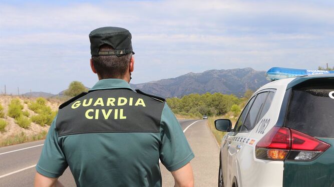 Sorprendida en un control con 178 plantones de marihuana en la rotonda entre Jun y Granada