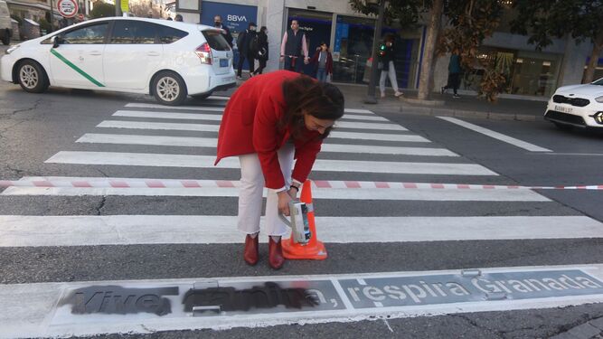 Camina Granada, nueva campaña para mejorar la calidad del aire