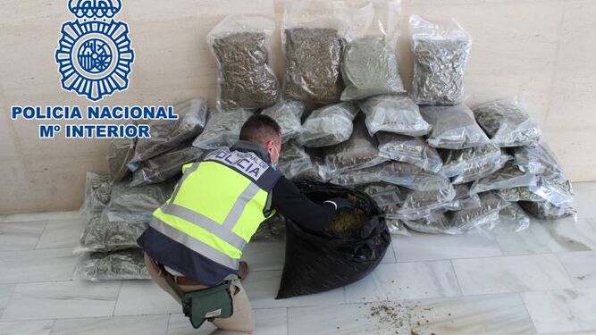 La marihuana intervenida en la narco casa hallada en Granada.