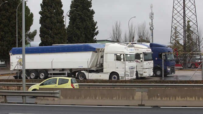 Camiones parados en Granada en  el tercer día de paro indefinido