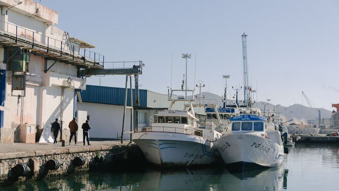 Barcos amarrados en el Puerto de Motril, en una imagen de archivo