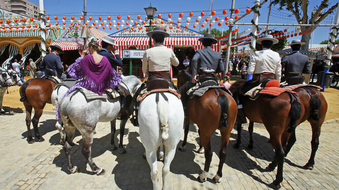 Pacma pide Gobierno prohibir el uso de caballos en ferias y romerías
