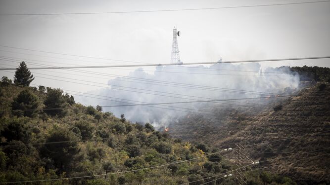 El Infoca da por controlado el incendio forestal de San Miguel