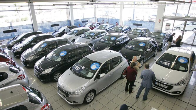 Imagen de un concesionario con múltiples coches esperando a ser comprados