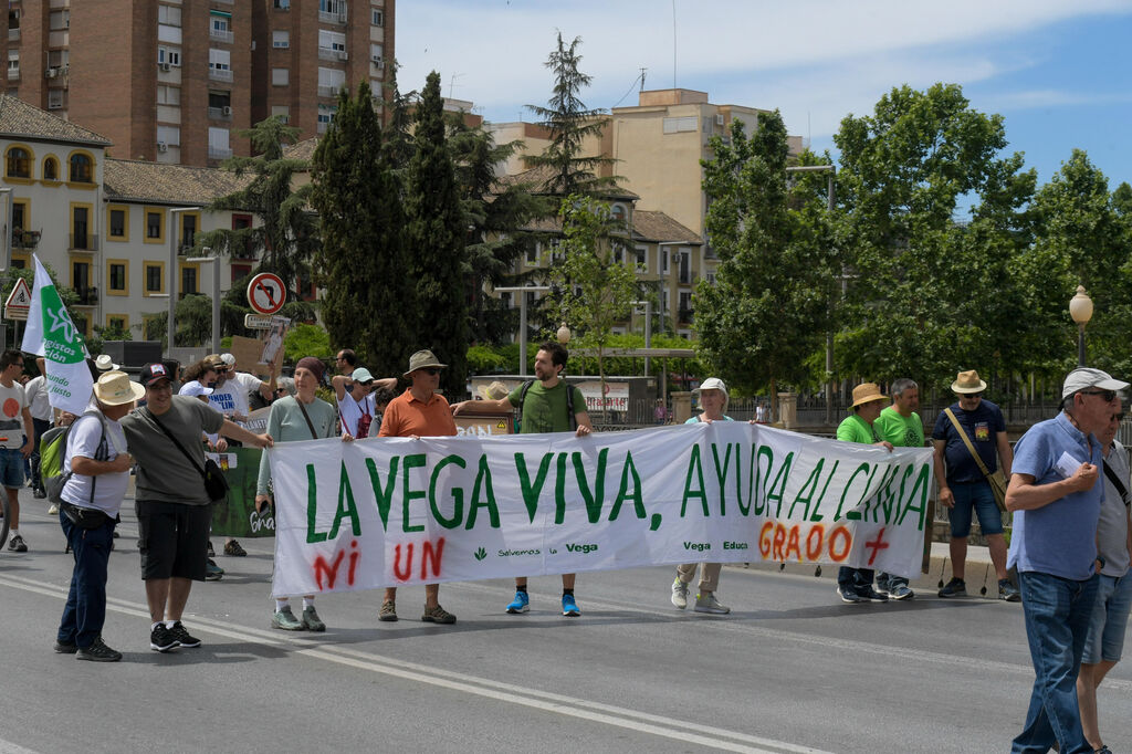 Las im&aacute;genes de la V marcha convocada por la Mesa por el Clima de Granada