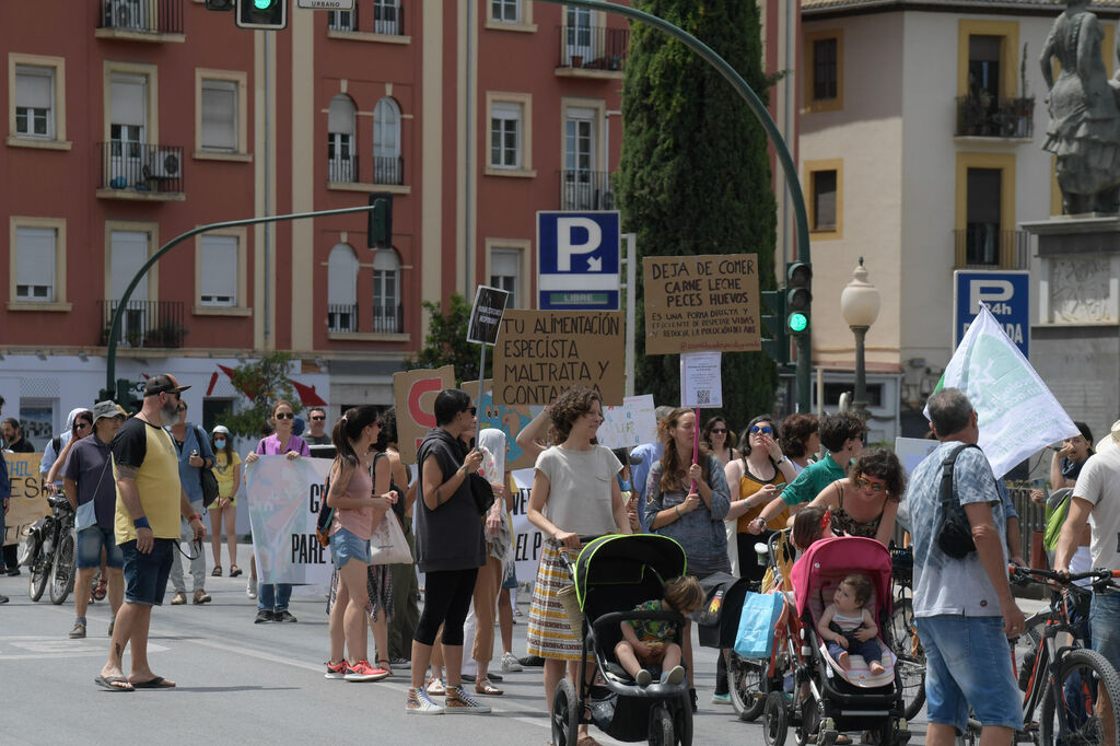 Las im&aacute;genes de la V marcha convocada por la Mesa por el Clima de Granada