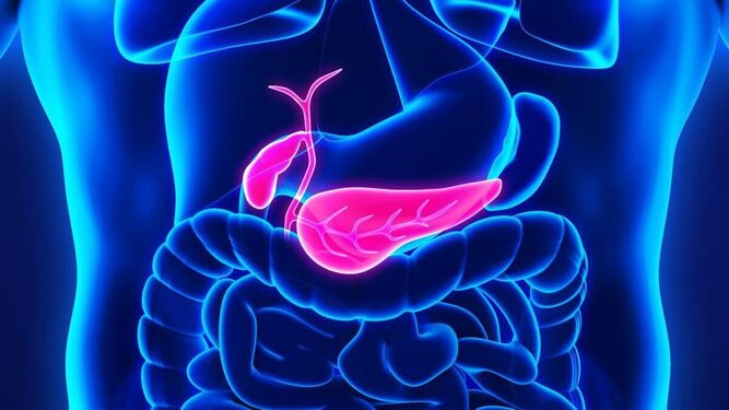 Cáncer de páncreas: un nuevo descubrimiento que puede explicar su origen