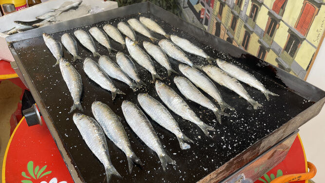 Degustación de sardinas asadas