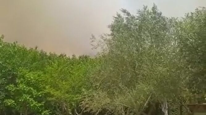 Desalojados dos pueblos y el parque Sendaviva por dos incendios en Navarra
