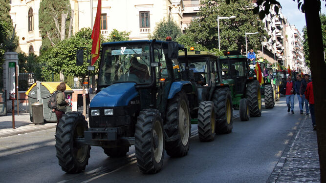 Organizaciones agrarias convocan en Granada una tractorada el próximo 29 de junio