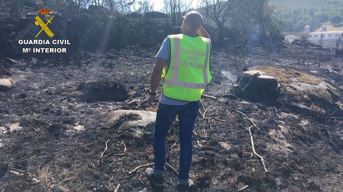 Imagen de archivo de un agente del Seprona de la Guardia Civil inspeccionando el terreno quemado tras un incendio