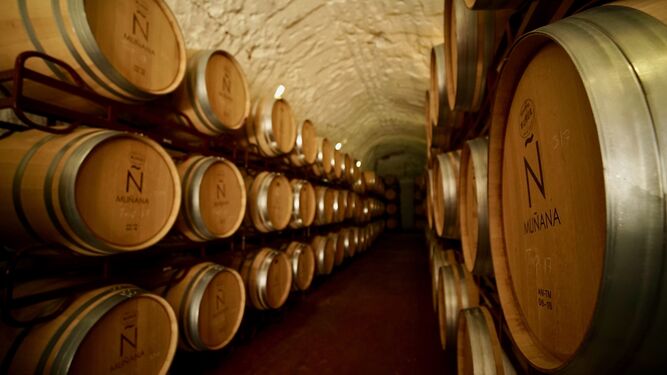 Bodegas Muñana tiene entre sus principales objetivos la internacionalización y exportación de su producción, situando los vinos de Granada en primera línea de los mercados globales.