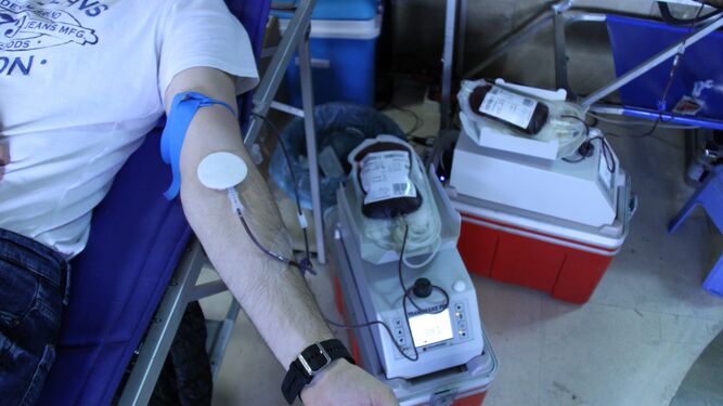 Imagen de archivo de una donación de sangre