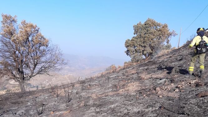 Imagen de la zona afectada por las llamas en La Taha