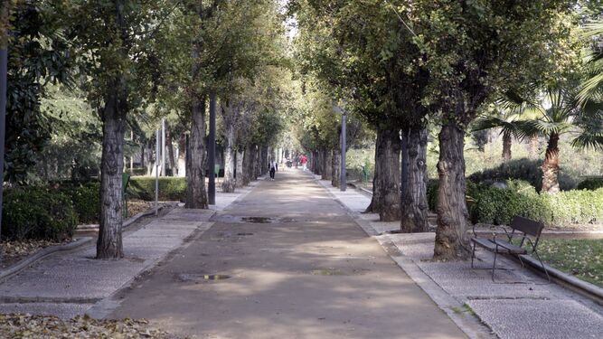 En Granada existen paseos por zonas verdes que merecen la pena recorrer