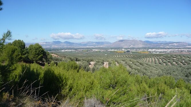 Vista desde la Dehesa de Santa Fe hacia la Vega de Granada y Sierra Elvira