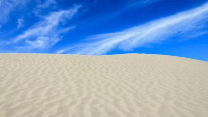 Un hombre muere enterrado por una duna en una playa de Florida