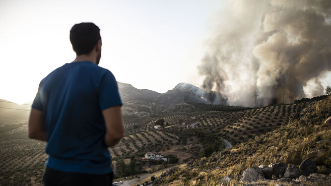 Un vecino de Pinos Puente observando el incendio ocurrido el pasado mes