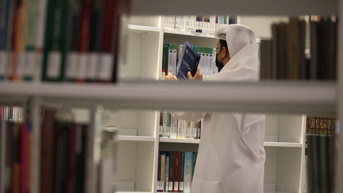 Interior de una biblioteca en Dubái.