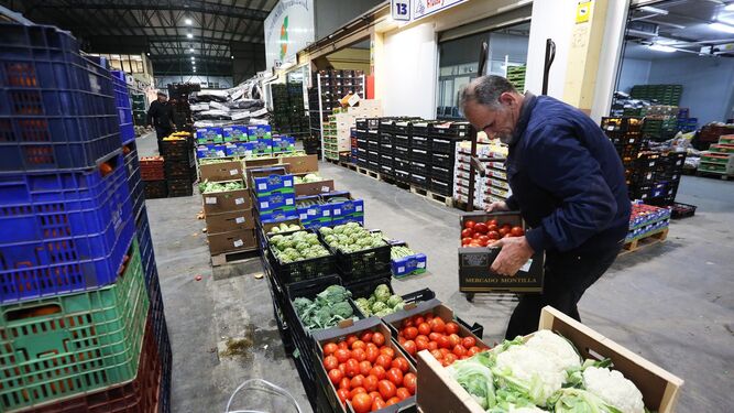 Un trabajador en la zona de frutas, hortalizas  y  verduras de Mercajerez.
