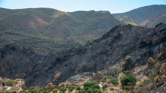 Los municipios afectados por el incendio de Los Guájares piden la declaración de zona catastrófica