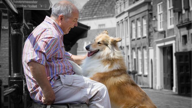El vínculo humano-animal beneficia a las personas con Alzheimer