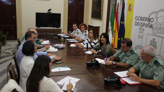 Momento de la reunión en la Subdelegación de Granada de los miembros del Plan Director