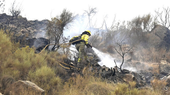 Operarios del Infoca trabajan para extinguir el incendio de Los Guájares