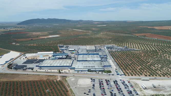 Panorámica de las instalaciones de Agro Sevilla en La Roda de Andalucía