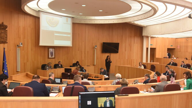 Imagen del Pleno ordinario celebrado en la Diputación de Granada