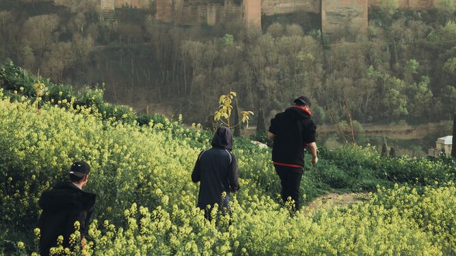 Una foto de Granada, elegida entre 1.200 imágenes como la más representativa de Andalucía
