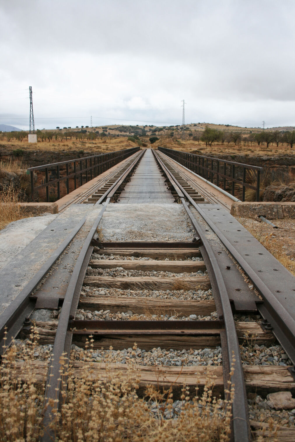 Fotos: el patrimonio ferroviario abandonado de la l&iacute;nea de tren Guadix-Baza-Lorca