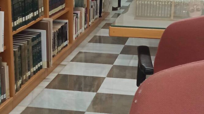 Denuncia la aparición de goteras en la biblioteca municipal de la Casa de La Palma de Motril