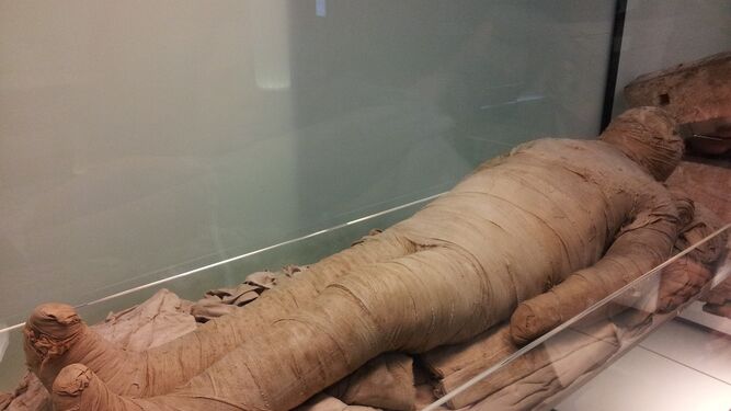 Momia expuesta en un museo egipcio