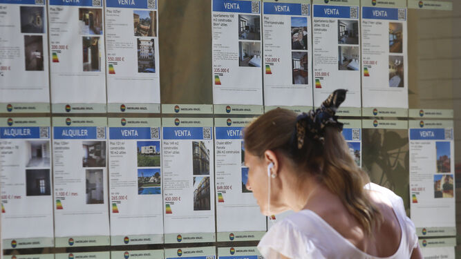 Una mujer compara precios de viviendas en alquiler en la capital malagueña.