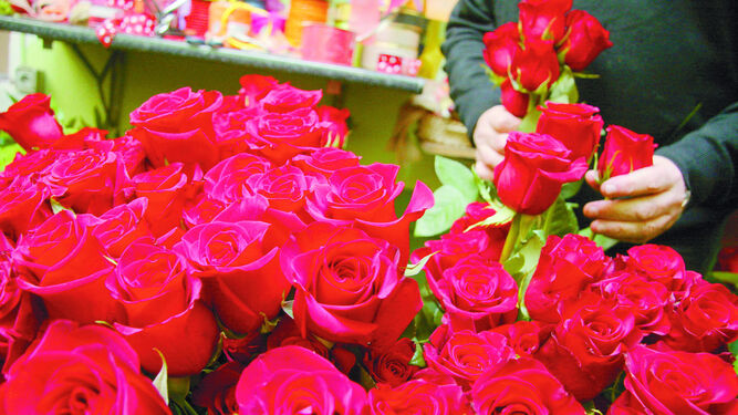 Rosas, uno de los detalles más populares para San Valentín.