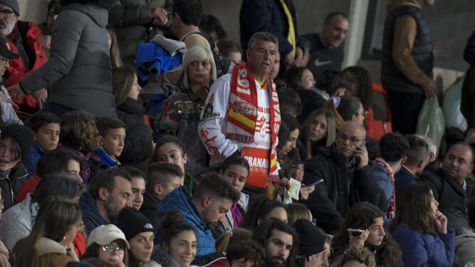 Aficionados del Granada CF en el estadio durante un partido