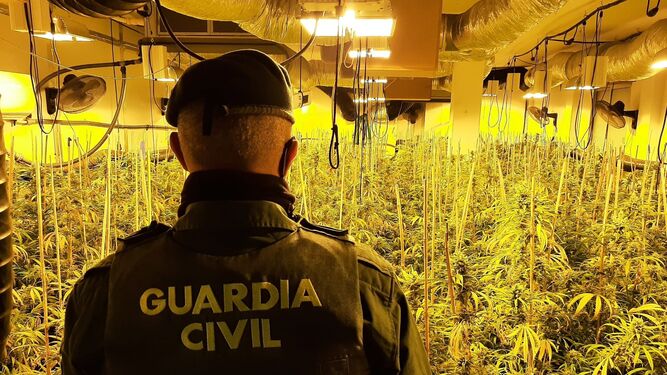 Un detenido por la Guardia Civil de Granada al desmantelar un puesto de menudeo de droga