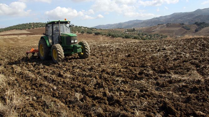 Un agricultor trabaja la tierra con un tractor
