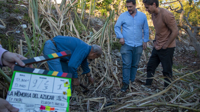 La memoria del azúcar, el documental que pretende mantener viva la historia de la caña en la Costa Tropical