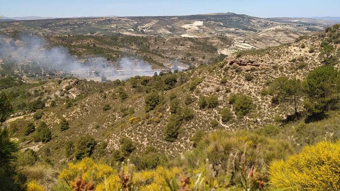 Declarado un incendio forestal en Arenas del Rey
