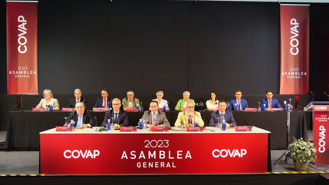Foto de familia de la Asamblea General de Covap.