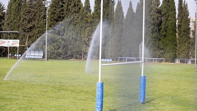 El actual campo de rugby de Fuentenueva, situado a la espalda de los comedores universitarios