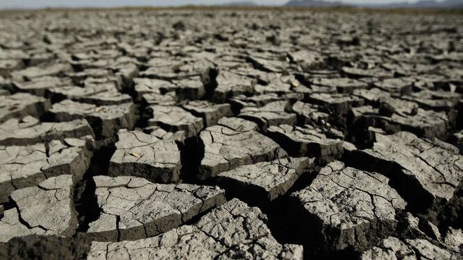 Terreno afectado por la sequía y el calor.