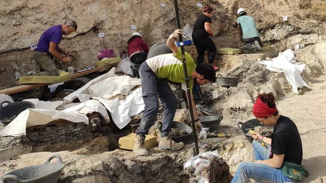 Un proyecto paleontológico en Baza aportará luz sobre el plioceno europeo