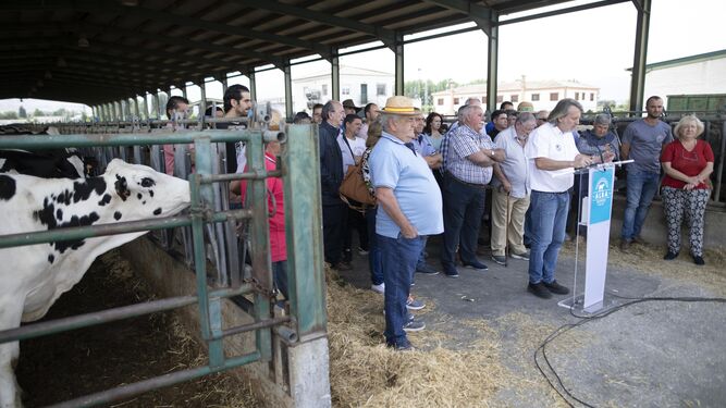 Imagen de la rueda de prensa ofrecida por los ganaderos de Alba en Granada