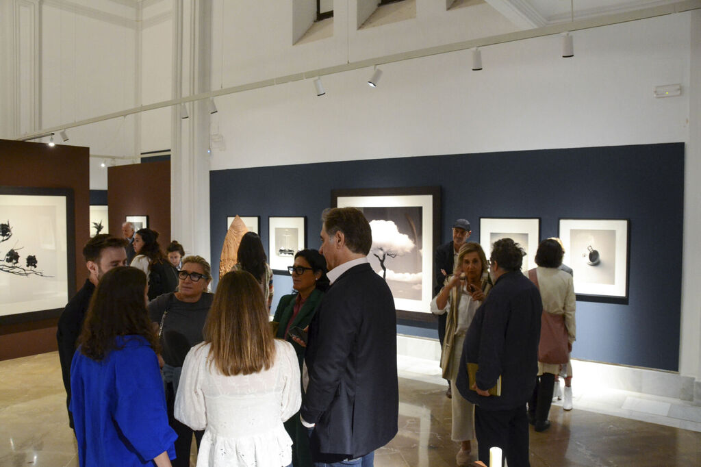 The New Chema Meadows Exhibition In Granada, In Pictures