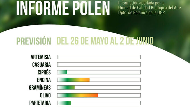 Previsión de los niveles de polen del 26 de mayo al 2 de junio