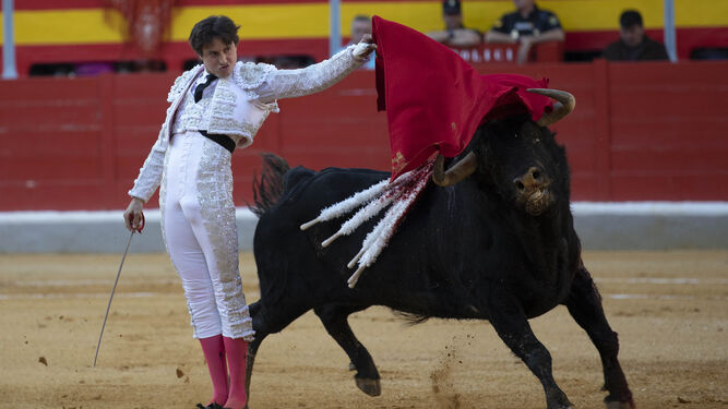 'Vendaval', de Juan Pedro Domecq, mejor toro del Corpus para los veterinarios de Granada
